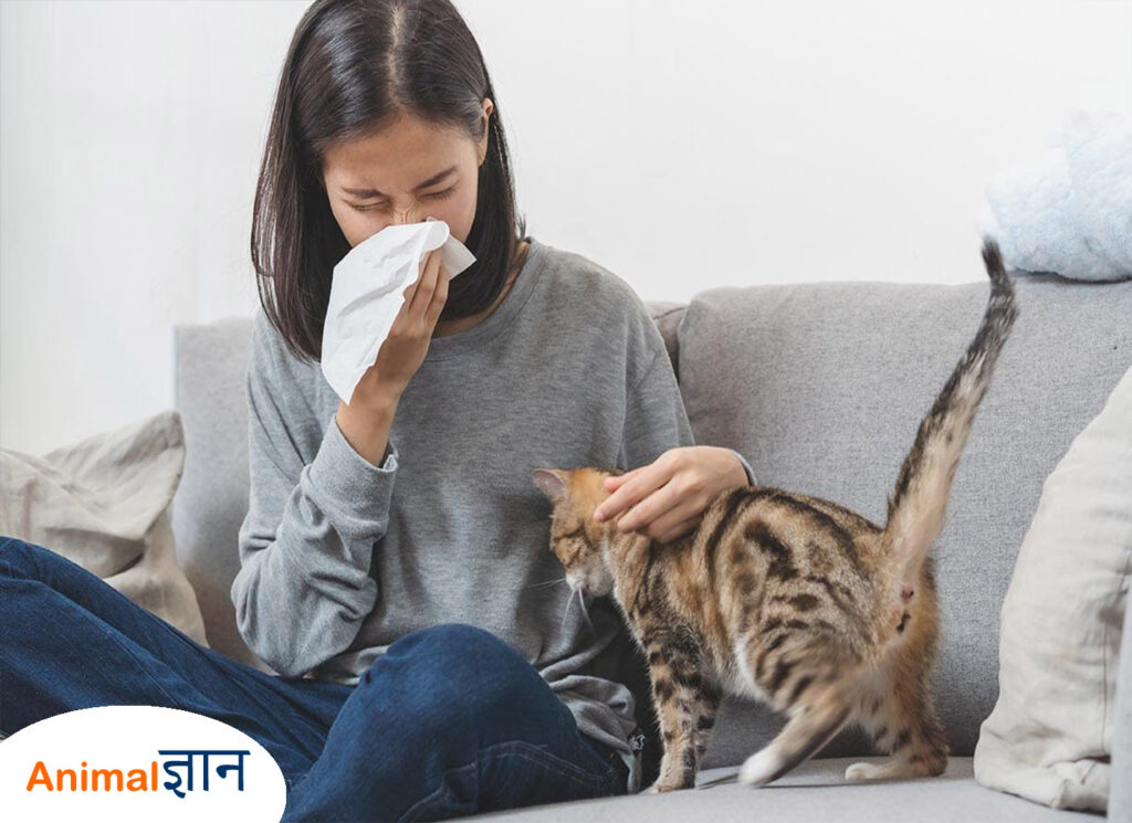 billi se allergy