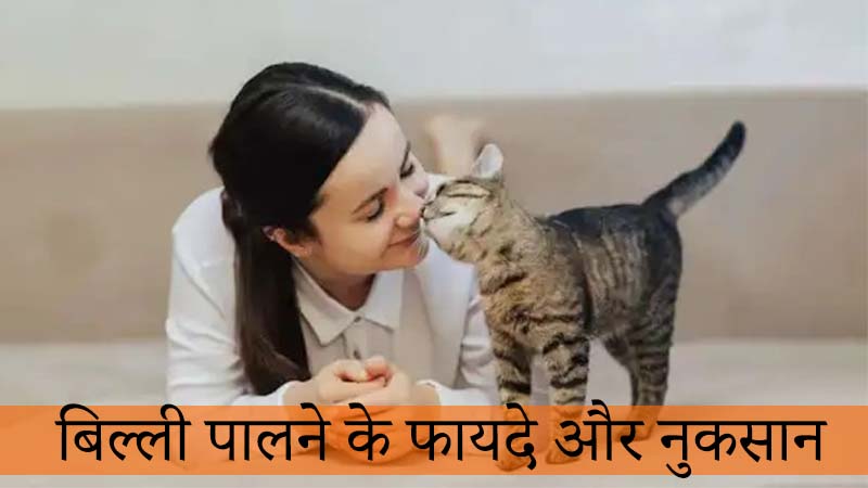 billi palne ke fayde aur nuksaan