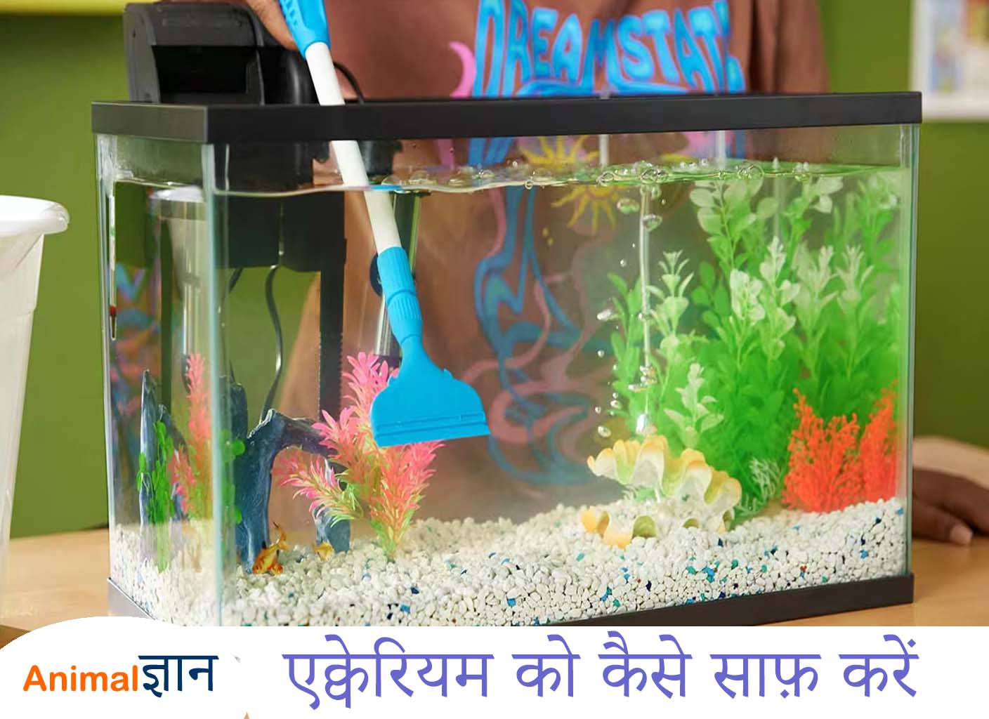 how to clean aquarium