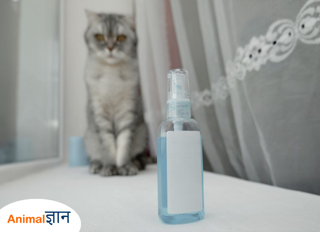 spray-to-repel-cat