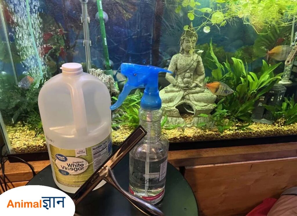 aquarium saaf karne ke liye saaman