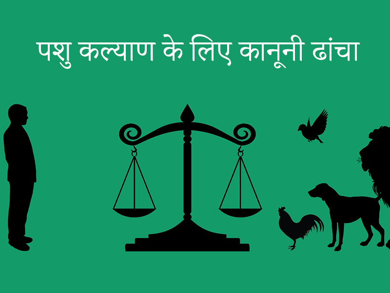 animal law in india