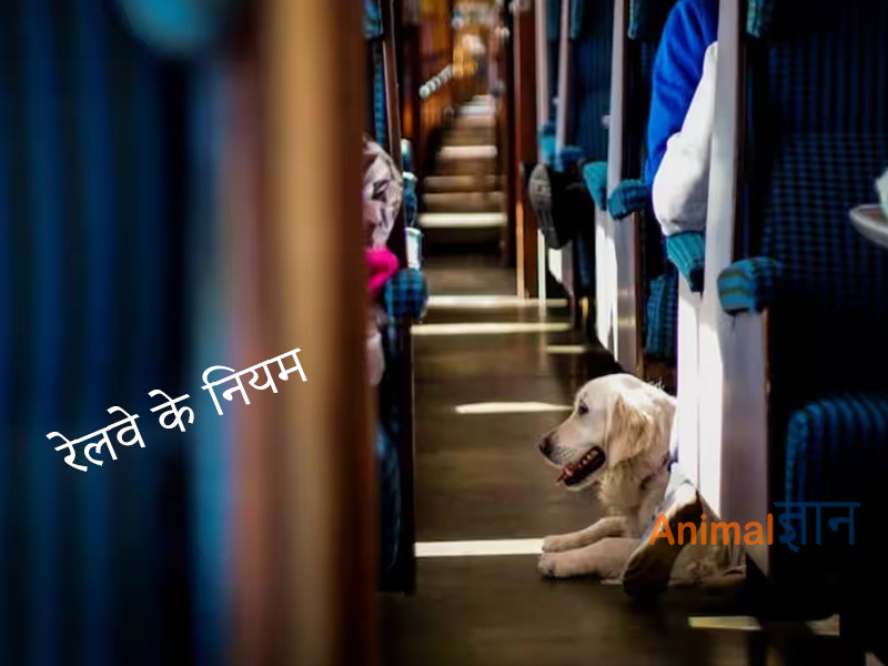 indian railway ke rules